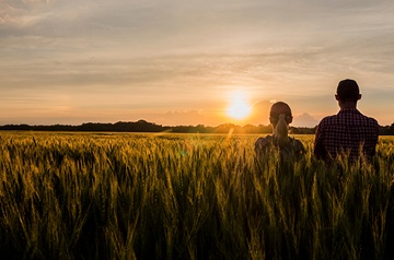 Couple watches the sunset