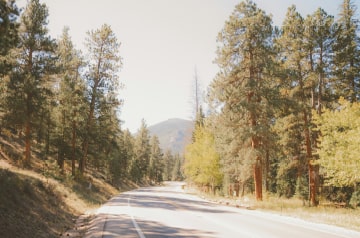 tree-lined mountain highway