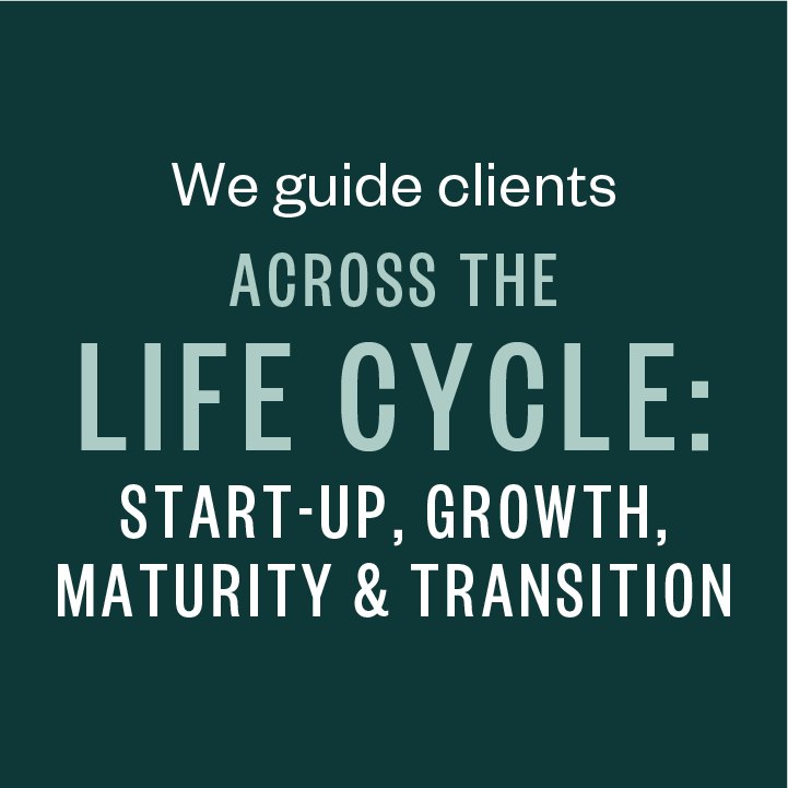 We guide clients across the life cycle: start-up, growth, maturity, and transition.