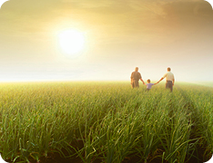 family walking through a field holding hands