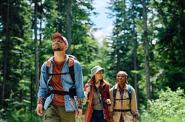 Hiking trio in forest on a sunny day