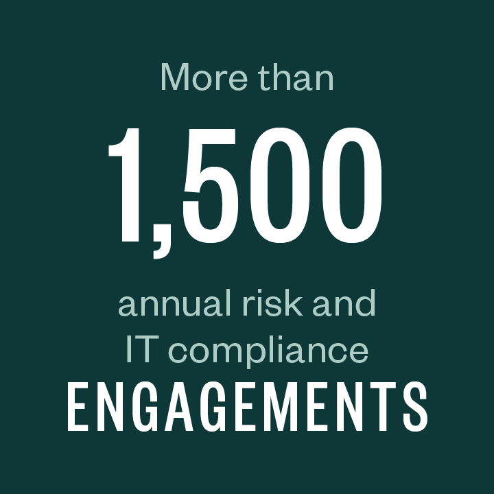 More than 1,500 annual risk and IT compliance engagements