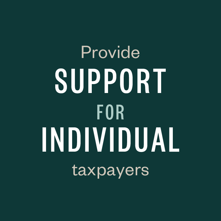 Provide support for individual taxpayers