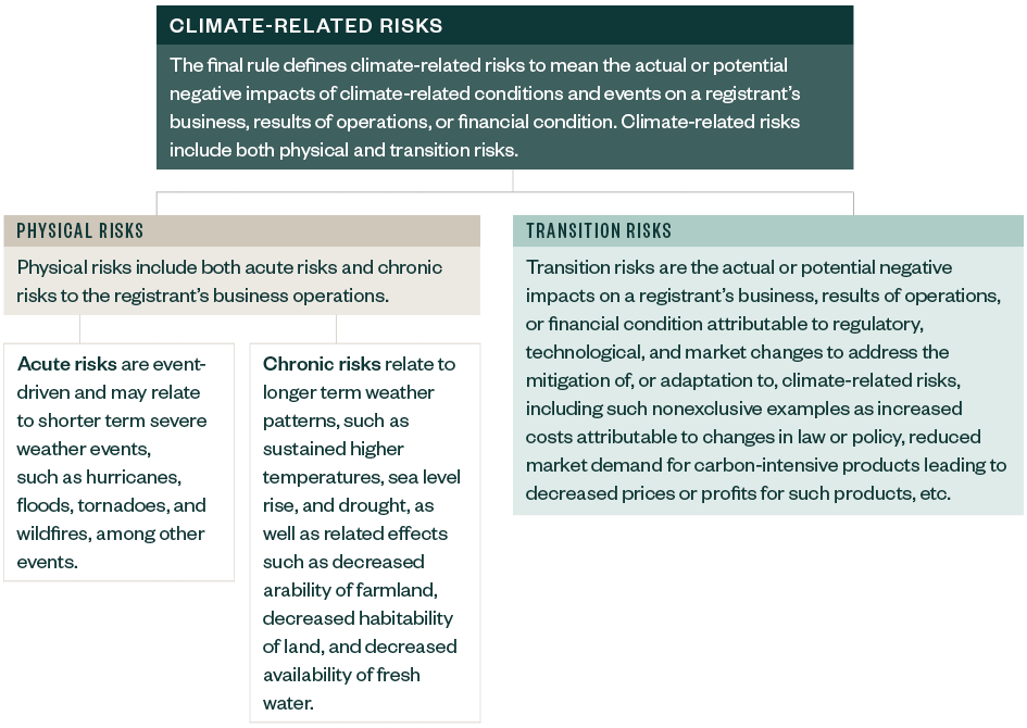 Chart of climate-related risks broken down by physical risks including chronic and acute risks, and transition risks