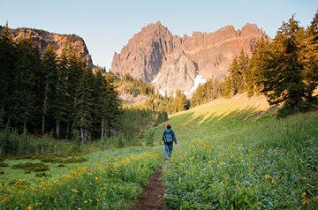 Person walking through nature trail