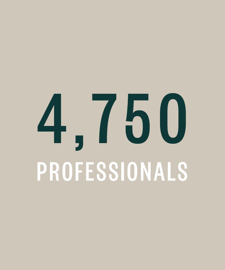 4.750 professionals