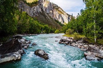 flowing mountain stream