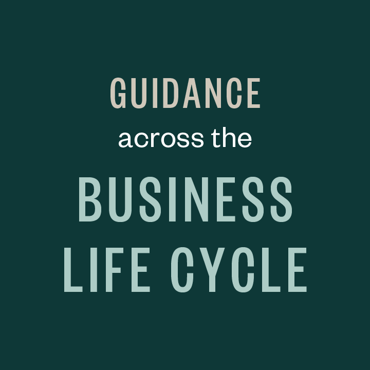 Guidance across the business life cycle